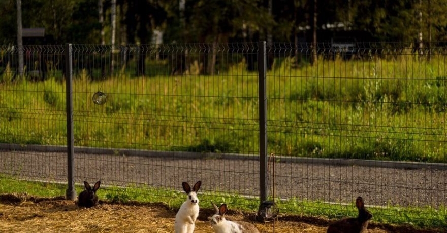 Официальное фото Парк-отеля New Riga Village 3 звезды