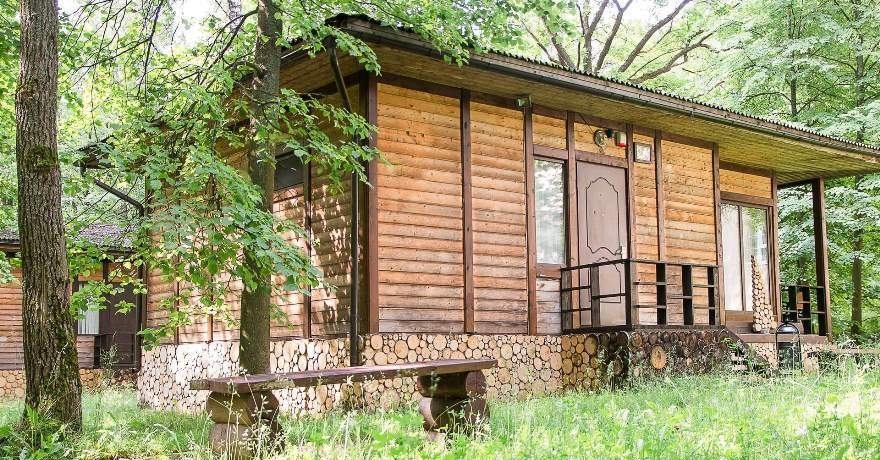 Официальное фото Отеля Фореста Фестиваль Парк звезды