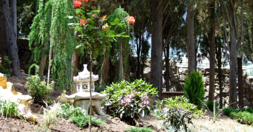 Официальное фото Отеля Чайная горка 3 звезды