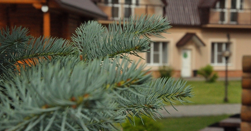 Официальное фото Гостиничного  Комплекса Сосновый Бор 3 звезды