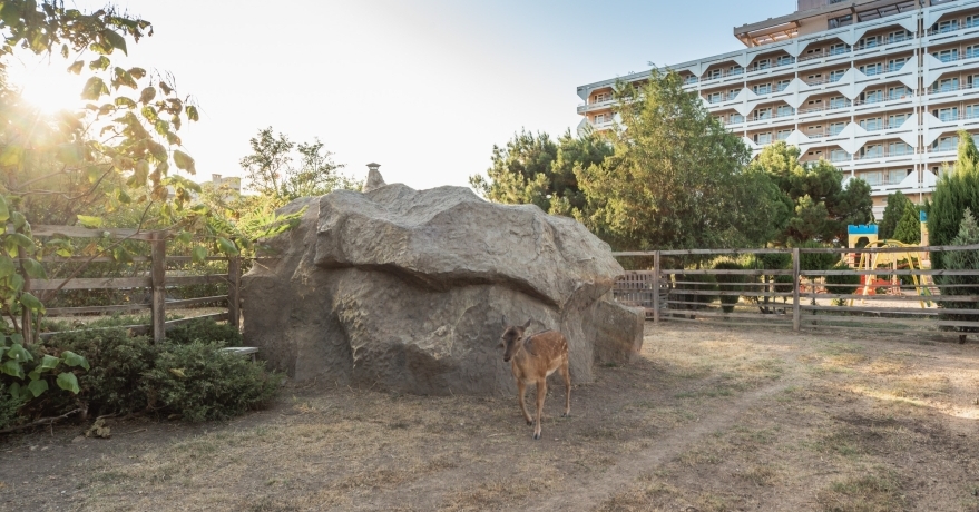 Официальное фото Санатория Планета 3 звезды