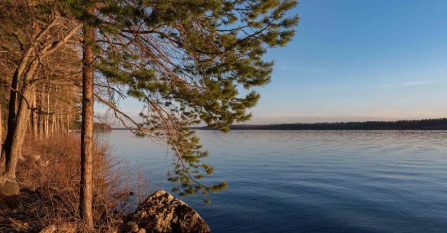 Официальное фото Резиденции Космос Карелия 4 звезды