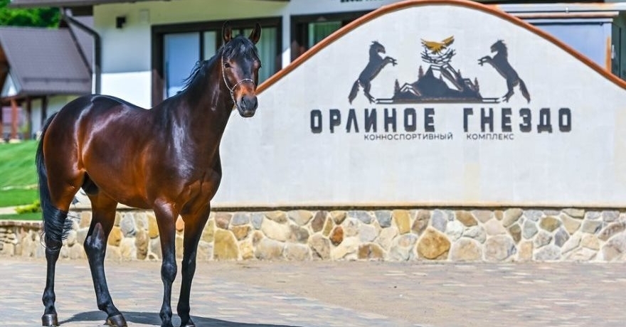 Официальное фото СПА-Отеля Орлиное Гнездо 4 звезды