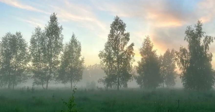 Официальное фото Эко-отеля Бобровый мыс  звезды