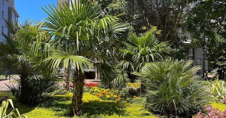 Официальное фото Отеля Ola Resort 4 звезды