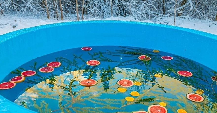 Официальное фото Гостевого дома Pine Forest Хвойный лес  звезды