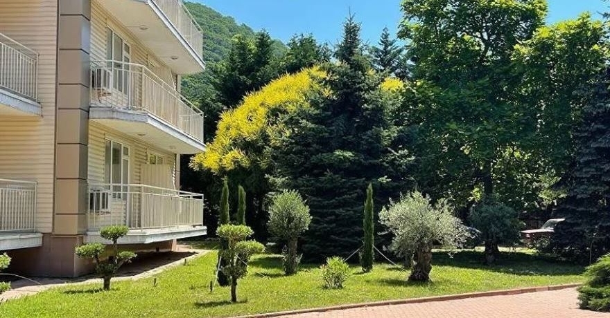 Официальное фото Отеля Ola Resort 4 звезды