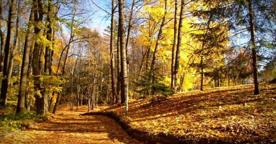 Официальное фото Санатория Введенское звезды
