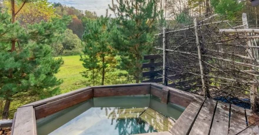 Официальное фото Эко-отеля Бобровый мыс  звезды