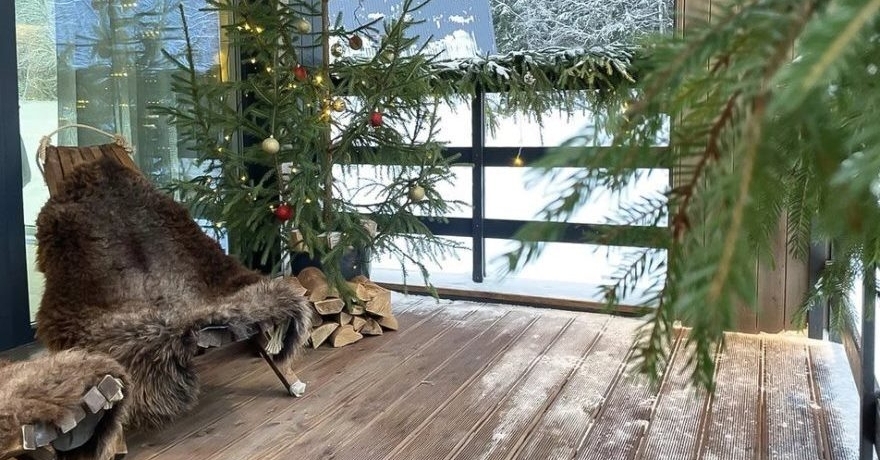 Официальное фото Гостевого дома Pine Forest Хвойный лес  звезды