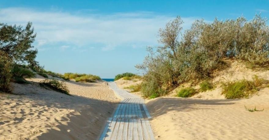 Официальное фото Отеля Амфора звезды