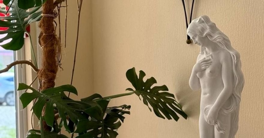 Официальное фото Гостиницы Афродита 2 звезды