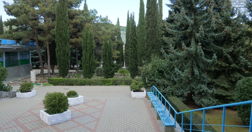 Официальное фото Санатория Славутич 3 звезды