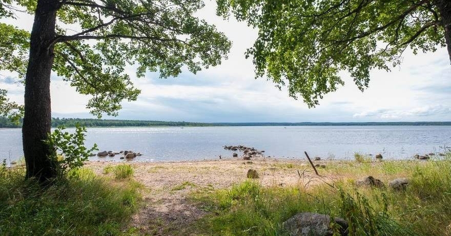 Официальное фото Базы  Отдыха Лосево Парк 3 звезды