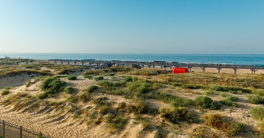 Официальное фото СПА-Отеля Аурум Family Resort & SPA 4 звезды