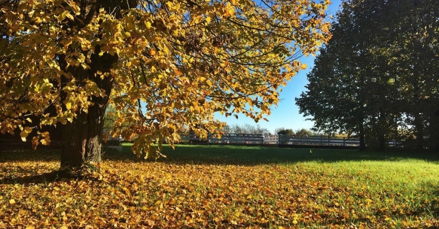 Официальное фото Отеля ОК - Река звезды