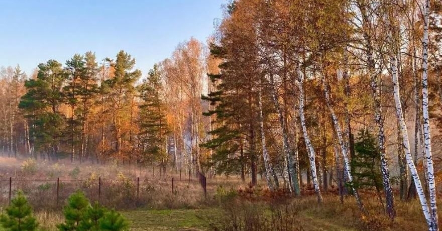 Официальное фото Эко-отеля Бобровый мыс  звезды