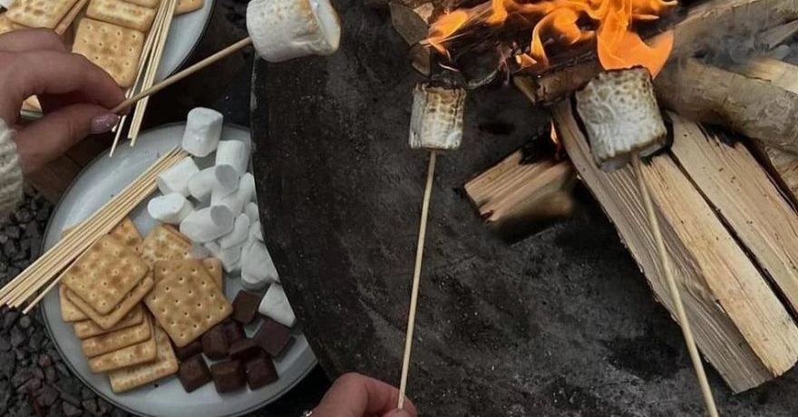 Официальное фото Гостевого дома Pine Forest Хвойный лес  звезды