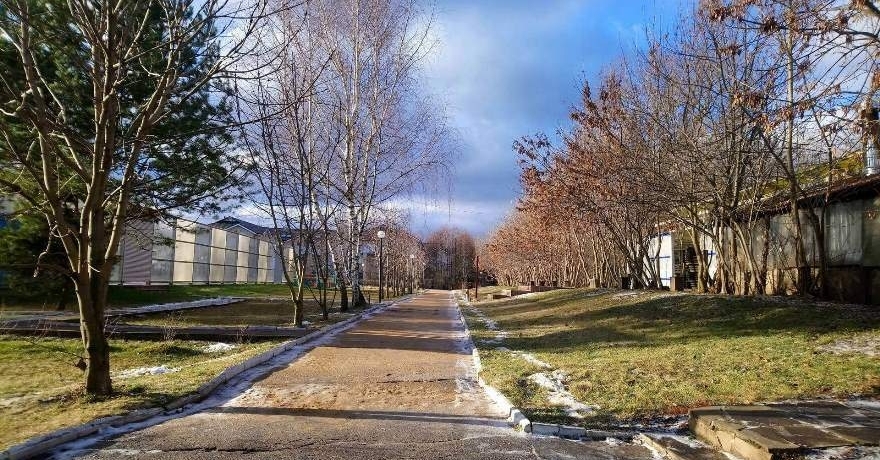 Официальное фото Отеля Фореста Фестиваль Парк звезды