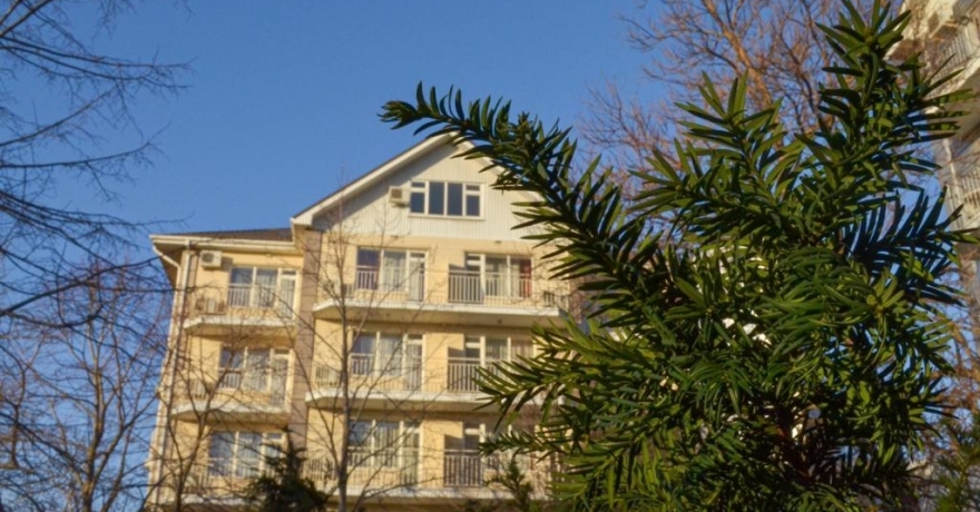 Официальное фото Отеля Ola Resort 4 звезды