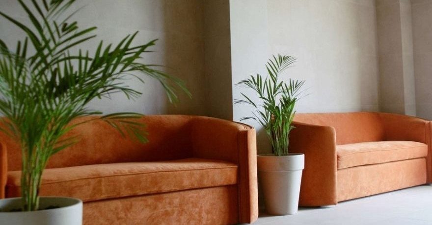 Официальное фото Отеля Грин Парк  звезды