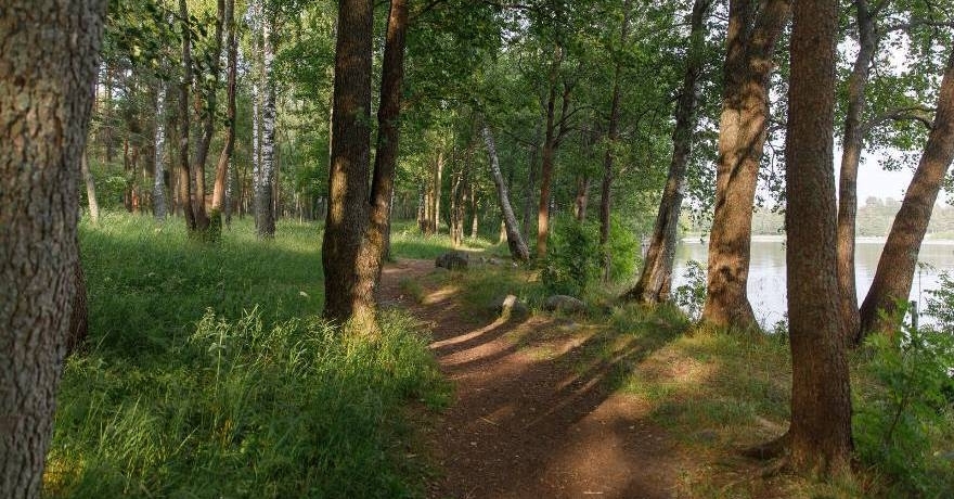 Официальное фото Базы  Отдыха Лосево Парк 3 звезды