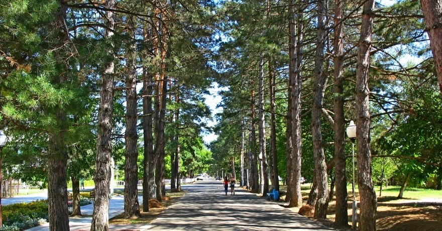 Официальное фото Гостевого дома Residence Park 3 звезды