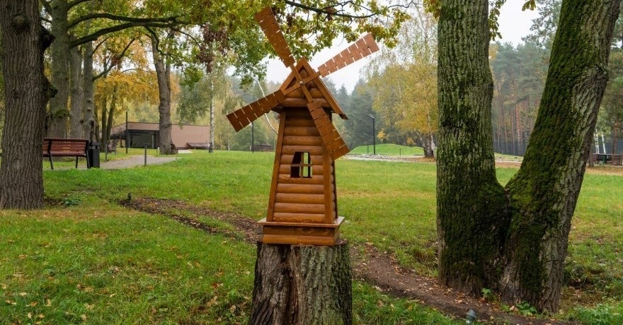 Официальное фото Парк-отеля Дубки 4 звезды