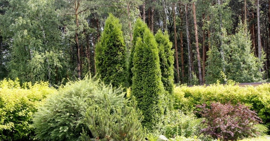 Официальное фото Гостиничного  Комплекса Сосновый Бор 3 звезды