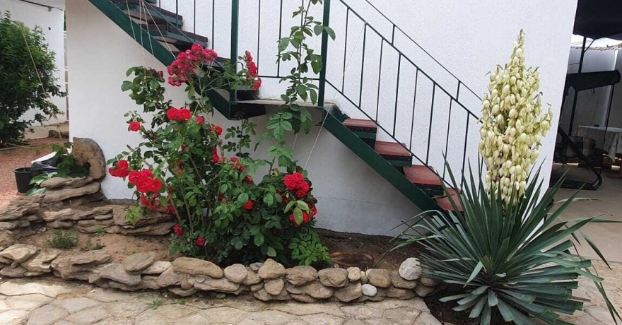 Официальное фото Гостевого дома Анастасия  звезды