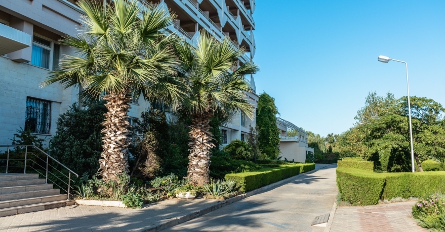 Официальное фото Санатория Планета 3 звезды