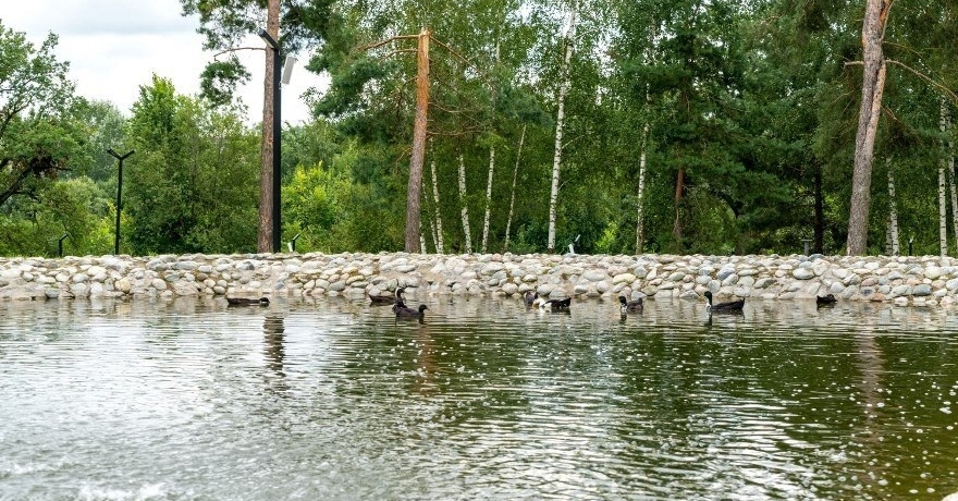 Официальное фото Парк-отеля Дубки 4 звезды