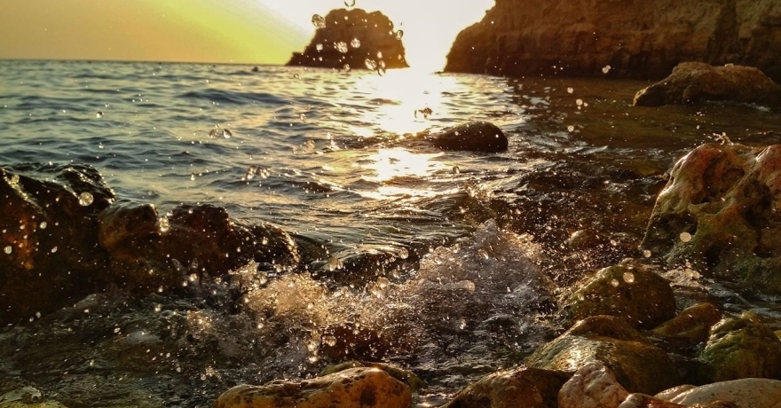 Официальное фото Гостевого дома Березка Юг  звезды