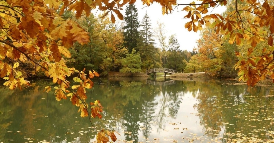 Официальное фото Отеля Вилла Альпина 5 звезды