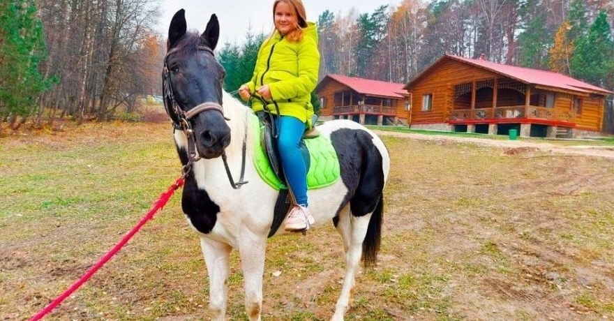 Официальное фото Эко-отеля Бобровый мыс  звезды