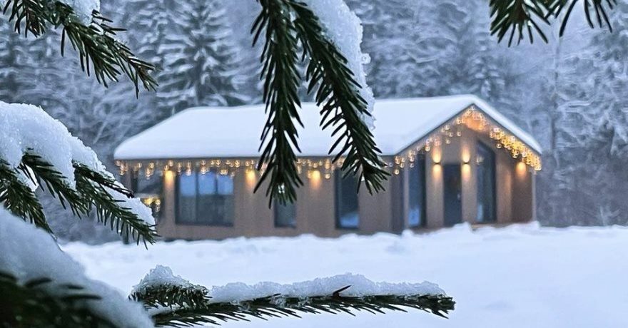 Официальное фото Гостевого дома Pine Forest Хвойный лес  звезды