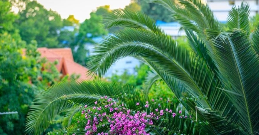 Официальное фото Гостевого дома Джанго 3 звезды