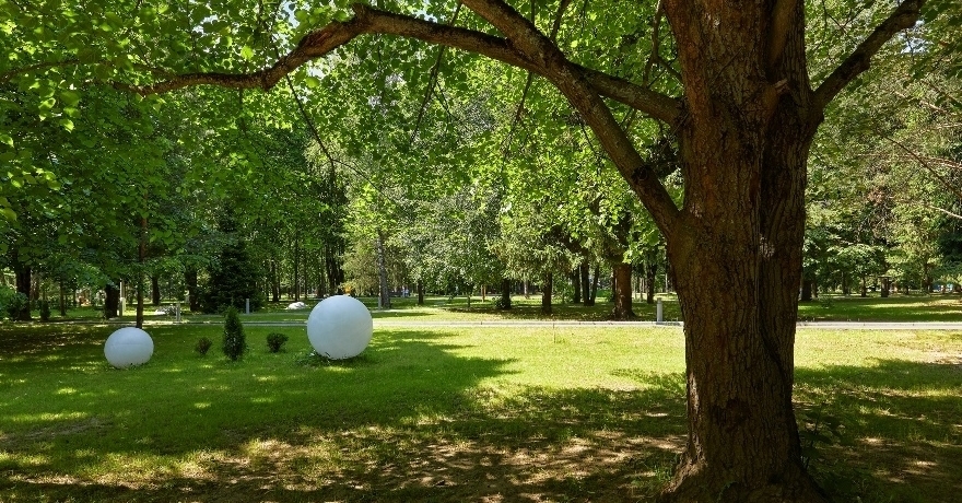 Официальное фото Парк-отеля Звенигород 3 звезды